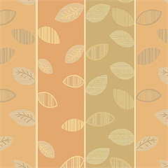 Canopy Terra